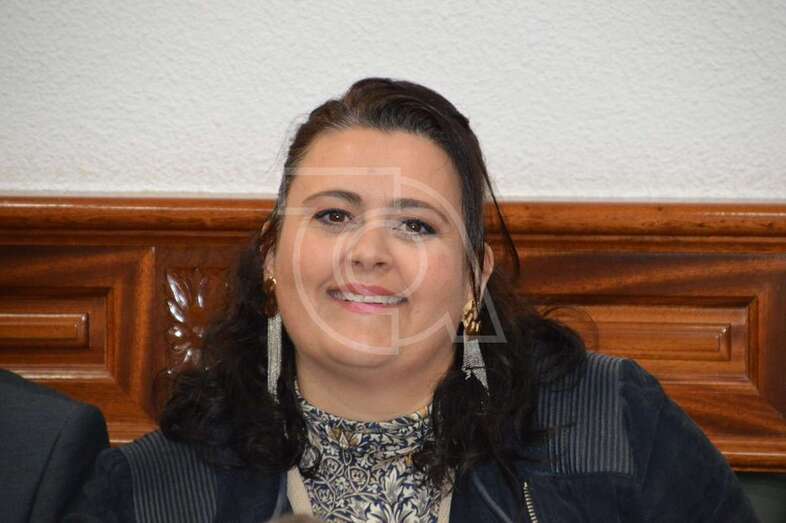 Celeste López, portavoz de Nueva Canarias, defendió la moción suscrita por todos los partidos menos por el PP (Foto TA)